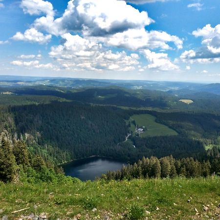 Ferienwohnung Kraftquelle Im Wohnpark Schwarzwaldblick, Bernau Exterior foto